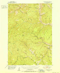 Blackbird Mtn Idaho Historical topographic map, 1:62500 scale, 15 X 15 Minute, Year 1951