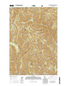 Blackbird Mountain Idaho Current topographic map, 1:24000 scale, 7.5 X 7.5 Minute, Year 2013