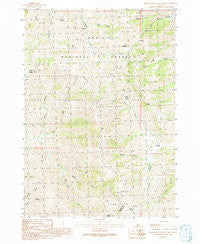 Blizzard Mountain North Idaho Historical topographic map, 1:24000 scale, 7.5 X 7.5 Minute, Year 1991