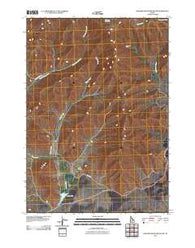 Blizzard Mountain South Idaho Historical topographic map, 1:24000 scale, 7.5 X 7.5 Minute, Year 2010