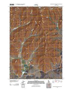 Blizzard Mountain South Idaho Historical topographic map, 1:24000 scale, 7.5 X 7.5 Minute, Year 2010