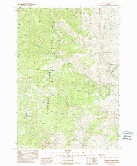 Blowfly Creek Idaho Historical topographic map, 1:24000 scale, 7.5 X 7.5 Minute, Year 1989