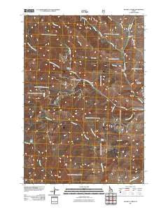 Blowfly Creek Idaho Historical topographic map, 1:24000 scale, 7.5 X 7.5 Minute, Year 2011