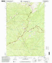 Blue Joint Idaho Historical topographic map, 1:24000 scale, 7.5 X 7.5 Minute, Year 1998