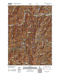 Boardman Creek Idaho Historical topographic map, 1:24000 scale, 7.5 X 7.5 Minute, Year 2011