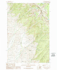 Bohannon Spring Idaho Historical topographic map, 1:24000 scale, 7.5 X 7.5 Minute, Year 1989