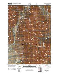 Borah Peak Idaho Historical topographic map, 1:24000 scale, 7.5 X 7.5 Minute, Year 2011