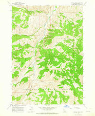 Bowery Creek Idaho Historical topographic map, 1:24000 scale, 7.5 X 7.5 Minute, Year 1963
