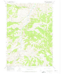 Bowery Creek Idaho Historical topographic map, 1:24000 scale, 7.5 X 7.5 Minute, Year 1963