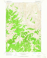 Bowery Peak Idaho Historical topographic map, 1:24000 scale, 7.5 X 7.5 Minute, Year 1963