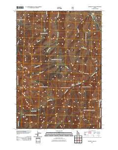 Bowery Peak Idaho Historical topographic map, 1:24000 scale, 7.5 X 7.5 Minute, Year 2011