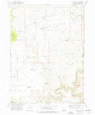 Brace Flat Idaho Historical topographic map, 1:24000 scale, 7.5 X 7.5 Minute, Year 1973