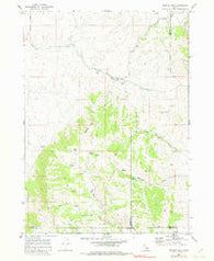 Bradley Mtn Idaho Historical topographic map, 1:24000 scale, 7.5 X 7.5 Minute, Year 1968