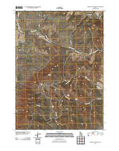 Bradley Mountain Idaho Historical topographic map, 1:24000 scale, 7.5 X 7.5 Minute, Year 2010