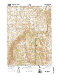 Bradley Mountain Idaho Current topographic map, 1:24000 scale, 7.5 X 7.5 Minute, Year 2013