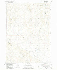 Broken Wagon Flat Idaho Historical topographic map, 1:24000 scale, 7.5 X 7.5 Minute, Year 1980
