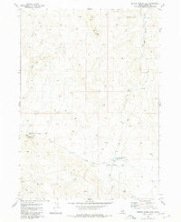 Broken Wagon Flat Idaho Historical topographic map, 1:24000 scale, 7.5 X 7.5 Minute, Year 1980