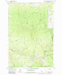 Brown Creek Ridge Idaho Historical topographic map, 1:24000 scale, 7.5 X 7.5 Minute, Year 1966