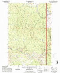 Brown Creek Ridge Idaho Historical topographic map, 1:24000 scale, 7.5 X 7.5 Minute, Year 1994