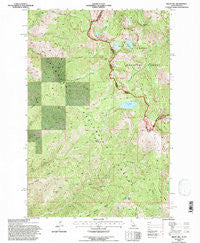 Bruin Hill Idaho Historical topographic map, 1:24000 scale, 7.5 X 7.5 Minute, Year 1994