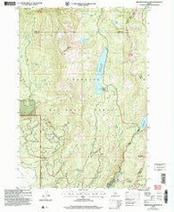 Brundage Mountain Idaho Historical topographic map, 1:24000 scale, 7.5 X 7.5 Minute, Year 2004