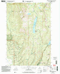 Brundage Mountain Idaho Historical topographic map, 1:24000 scale, 7.5 X 7.5 Minute, Year 2004