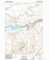 Bruneau Dunes Idaho Historical topographic map, 1:24000 scale, 7.5 X 7.5 Minute, Year 1992