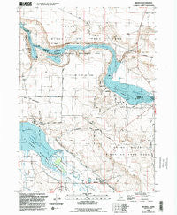 Bruneau Idaho Historical topographic map, 1:24000 scale, 7.5 X 7.5 Minute, Year 1992