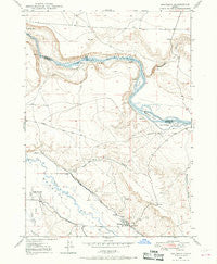Bruneau Idaho Historical topographic map, 1:24000 scale, 7.5 X 7.5 Minute, Year 1947