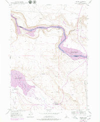 Bruneau Idaho Historical topographic map, 1:24000 scale, 7.5 X 7.5 Minute, Year 1947
