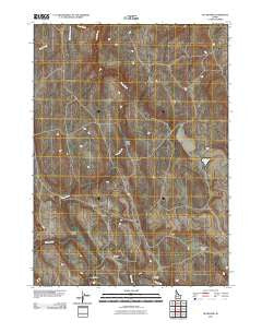 Buckhorn Idaho Historical topographic map, 1:24000 scale, 7.5 X 7.5 Minute, Year 2010