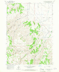 Buckhorn Canyon Idaho Historical topographic map, 1:24000 scale, 7.5 X 7.5 Minute, Year 1965