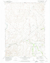 Buckskin Basin Idaho Historical topographic map, 1:24000 scale, 7.5 X 7.5 Minute, Year 1971