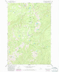 Buffalo Hump Idaho Historical topographic map, 1:24000 scale, 7.5 X 7.5 Minute, Year 1979