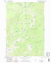 Buffalo Hump Idaho Historical topographic map, 1:24000 scale, 7.5 X 7.5 Minute, Year 1979