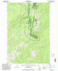 Buffalo Hump Idaho Historical topographic map, 1:24000 scale, 7.5 X 7.5 Minute, Year 1995