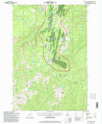 Buffalo Hump Idaho Historical topographic map, 1:24000 scale, 7.5 X 7.5 Minute, Year 1995