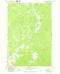 Buffalo Hump Idaho Historical topographic map, 1:24000 scale, 7.5 X 7.5 Minute, Year 1979