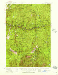 Buffalo Hump Idaho Historical topographic map, 1:125000 scale, 30 X 30 Minute, Year 1931