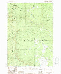 Buffalo Lake NE Idaho Historical topographic map, 1:24000 scale, 7.5 X 7.5 Minute, Year 1986