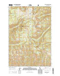 Buffalo Hump Idaho Current topographic map, 1:24000 scale, 7.5 X 7.5 Minute, Year 2013