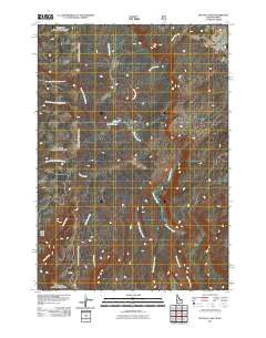 Buffalo Lake Idaho Historical topographic map, 1:24000 scale, 7.5 X 7.5 Minute, Year 2011