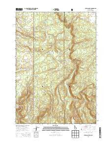 Buffalo Lake Idaho Current topographic map, 1:24000 scale, 7.5 X 7.5 Minute, Year 2013