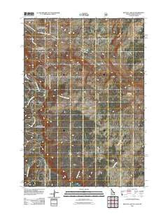 Buffalo Lake NE Idaho Historical topographic map, 1:24000 scale, 7.5 X 7.5 Minute, Year 2011