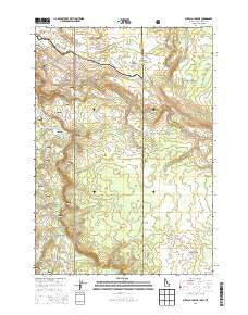 Buffalo Lake NE Idaho Current topographic map, 1:24000 scale, 7.5 X 7.5 Minute, Year 2013