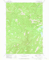Bull Trout Point Idaho Historical topographic map, 1:24000 scale, 7.5 X 7.5 Minute, Year 1972