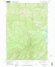 Bull Trout Point Idaho Historical topographic map, 1:24000 scale, 7.5 X 7.5 Minute, Year 1972