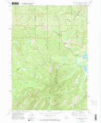 Bull Trout Point Idaho Historical topographic map, 1:24000 scale, 7.5 X 7.5 Minute, Year 1972