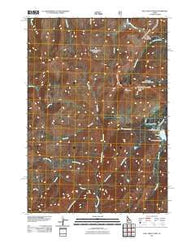 Bull Trout Point Idaho Historical topographic map, 1:24000 scale, 7.5 X 7.5 Minute, Year 2011