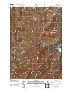 Bull Trout Point Idaho Historical topographic map, 1:24000 scale, 7.5 X 7.5 Minute, Year 2011